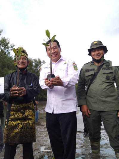 BPDASHL Indragiri Rokan, Lakukan Program Padat Karya Mangrove di Inhil